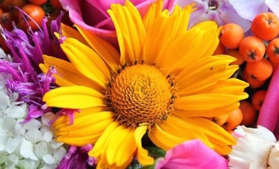 Little Flowers, Little Women