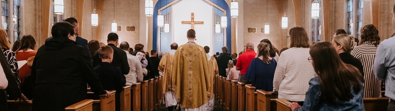Fr Daniel process in slider
