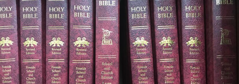 Summer Bible Study for College Women