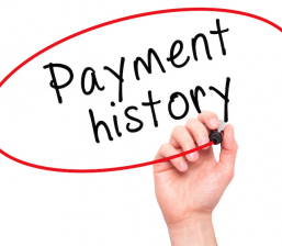 Tuition/Childcare Payment History